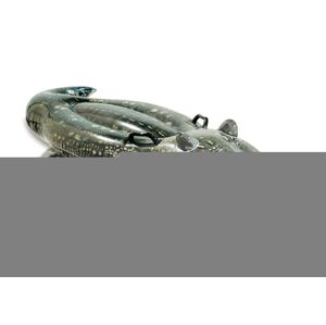 Nafukovací krokodíl 170x86 cm, INTEX, W157551
