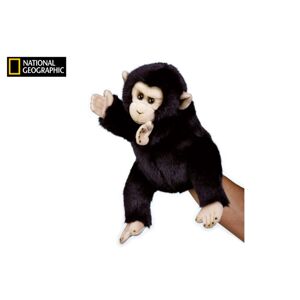 National Geographic maňuška Šimpanz, National Geographic, W011132