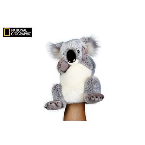 National Geographic maňuška Koala, National Geographic, W011134