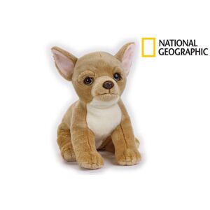 National Geographic Kids Čivava psík 33 cm, W011618